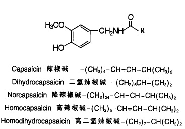 天然辣椒素的结构式